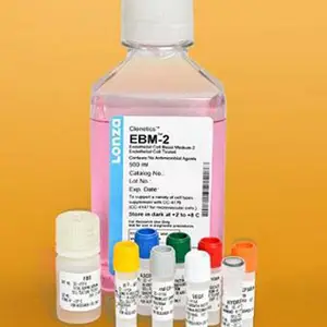 ��Ƥ��������װ CC-3162 M386732