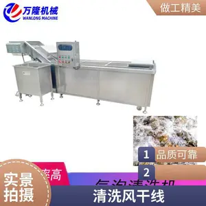排骨清洗机 鸡肉清洗机 鸡胗鸡肝清洗设备 银鱼清洗机器 万隆机械