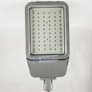 led防爆灯100W 70w防爆LED投光灯 加气站led防爆灯80W现货