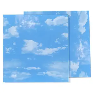���ɵ������۰�600X600ƽ��������Ƹ�Ĥ�幤�̲��Ϸ�ɽ����ֱ��