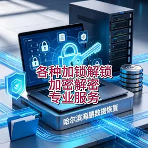 为电脑机主和数据主人提供各种加锁解锁、加密解密的专业服务