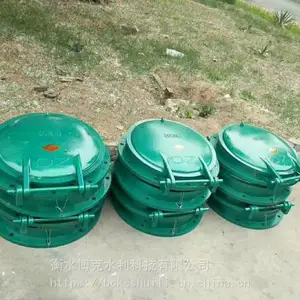 厂家直销新型玻璃钢拍门选衡水博克水利优质厂家
