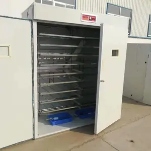 供应ZN-1848SYJ智能小鸡小型全自动大型孵化机