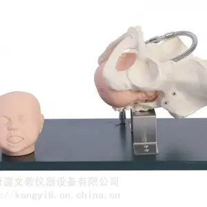 ��Ӧ������KAY-F23����̥��ͷ�Ĺ���ģ�͹����̥��ͷģ��