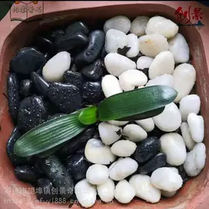 ��·ʯ�껨ʯԭʯ���߲��껨ʯ�׹���ʯ���ع�5-8���ֲ�ɫ����ʯ