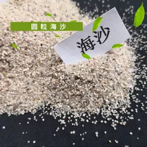 京鹏供应圆粒海沙 油田支撑压裂砂 耐磨损石英砂