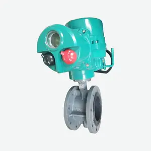 DN100�������ܷ���� �綯���ܷ�ʽ������ ����ʽ���ڷ�
