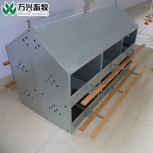 ���ҹ�Ӧ������24Ѩ������˫���Ѩ������ɢ�������� ��������