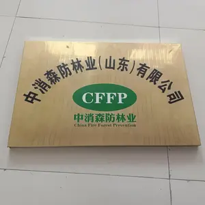 中消森防林业（山东）有限公司