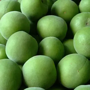���ļ���ֱ������÷�㾫 ˮ�����㾫 ���� ������