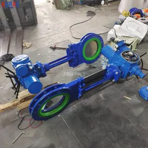 ���ձ���PZ973X-10C DN250***�Ľ��綯����բ��