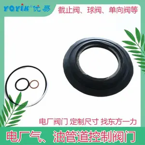 ��ֹ��WJ10F1.6P DN10 ����ʽ �͸������� YOYIK