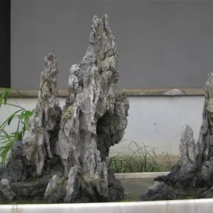 吸水石假山制作-宁德假山制作-济南神斧景观技术精湛(查看)