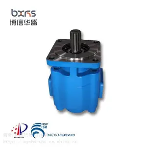 山东博信华盛JHP3160液压叉车高压油泵齿轮泵厂家直销