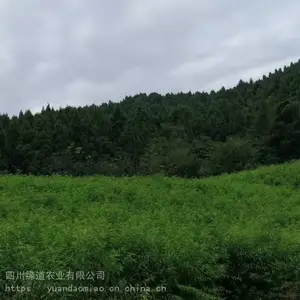 �ٲ��������� ��������������Ʒ�ּ۸�