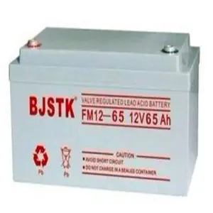BJSTK/��������FM12-65/12V6***H�㽭��������