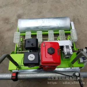 ����4�аײ˲��ֻ� ������߲˾����� �������Ϻ�����ֲ��