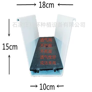 pvc��ɫ��ݮ��ֲ��Ʒ���̼ҡ��ƻ�������ֲ�۳�