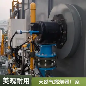 岱鼎燃烧 热镀锌焦炉煤气高炉煤气燃烧器天然气燃烧机源头厂家