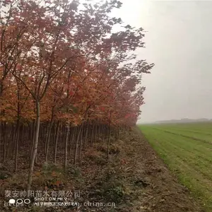 ������� ���������̼� ָ������ ������ȫ 7�����������