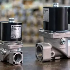 ��ӦELEKTROGAS�жϷ�