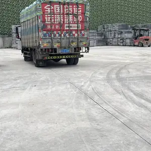 ����֥���͡��ʯ ��Ȼ��԰�ֲ���ʯ���Ҷ���