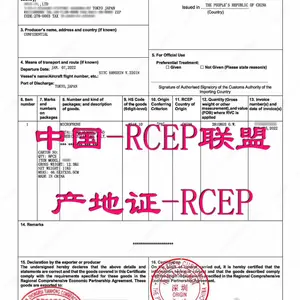 全球电商时代,专业进出口单证服务,快得不止一点点!