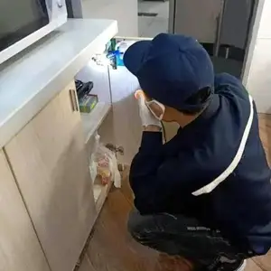 湖北好嘉(多图)-仙桃蟑螂***