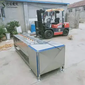 新鲜生姜毛辊清洗机 红薯土豆抛光去皮机 多型号毛去皮机