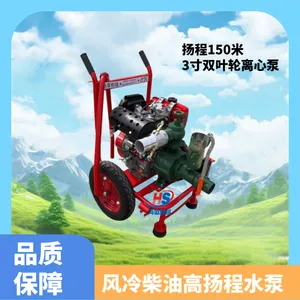 С�Ƴ���3���ѹ�� ũ��˫Ҷ�ֲ������ı� 195��������������