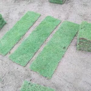 ����԰�ֲ�Ƥ�۸� ������������Ƥ�������� �����̻���ƺʲô�۸�