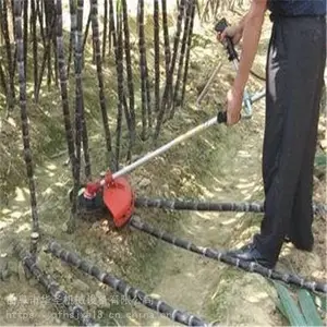 С�ͱ���ʽ���ݻ� ��԰�������ݻ� ���������