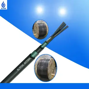 ELT12о��ģֱ��ʽ�ִ�����GYTS53����ֱ��