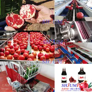 石榴汁加工生产线 高倍体石榴汁加工生产线 石榴果粉加工设备