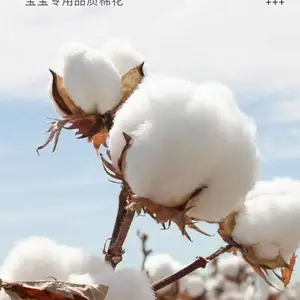 ��֮������ͯ��