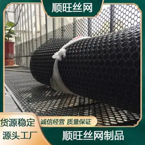 ��ɫ��Ѽ�ӽŵ��� ������Ƭ���� ����ϩ��ֳ������