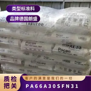 PA66 �¹���ʢ A30SFN31 ��ȼ�� ������ �͸��� �������� ����