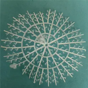 �㶫���������� ���ǻ���