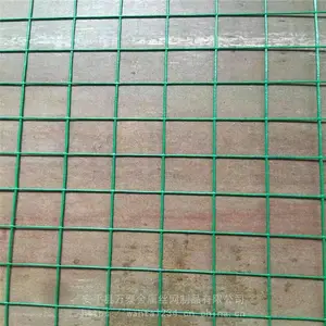 ��̩������ ��ֳ�� ������˿��