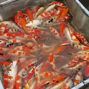 长兴义力家庭农场