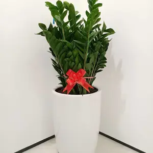 �̻����� ����԰���ճ����� �����޼���ˮʩ�� ȫ���̻�ά���н�