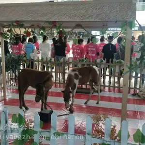 ��Ӧ�������չ�����ޱ���