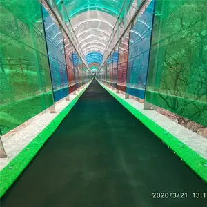 厂家安装飞天魔毯 景区魔毯载人输送带多少钱一米