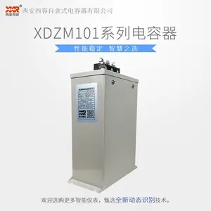 西安西容XDZM101系列低压电容器