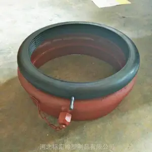 �ӱ���� ��̥���ɳ��� ������Ӧ���� �ߵ�ѹ����