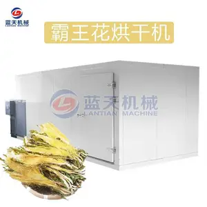 蓝天霸王花烘干机 霸王鞭烘干机 剑花烘干机 热风循环剑花烘干机 大型箱式霸王花烘干除湿机