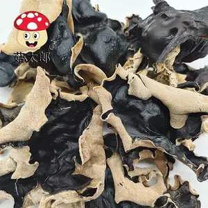 ��̫���޸� ëľ���ɻ� �ױ���ľ�� ��ľ�� ������ױ�ľ���ɳ����ձ�