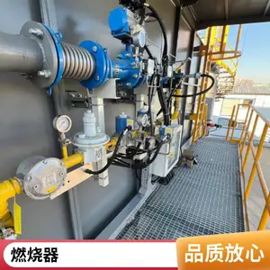 岱鼎燃烧 干燥炉阳极炉燃气烧嘴高炉煤气工业燃烧器裂解气源头厂家