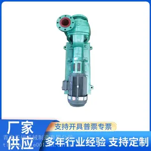 125SS-12 胶球清洗泵 清洗锅炉管道 空调管道 污水处理