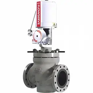 ����FLOWSERVEִ����